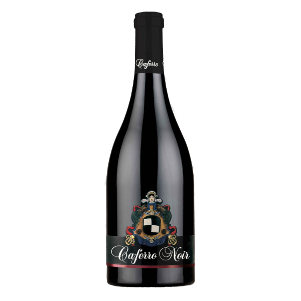 Noir 2011 – Rosso IGT Veneto - Cantina Caferro