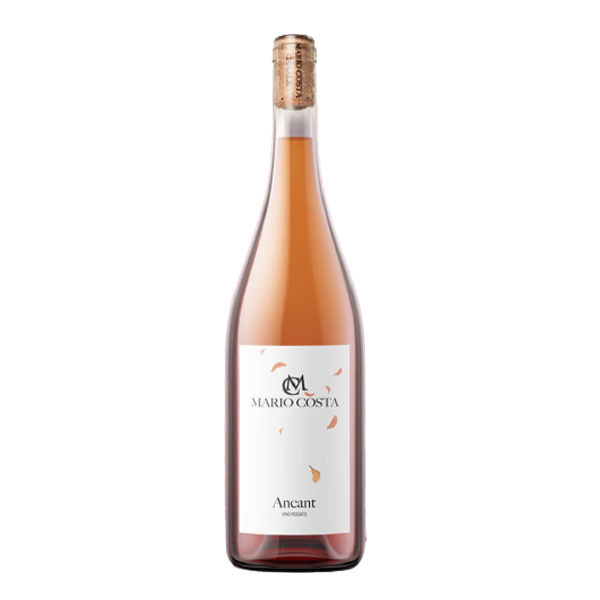 Langhe Rosato Ancant - Mario costa